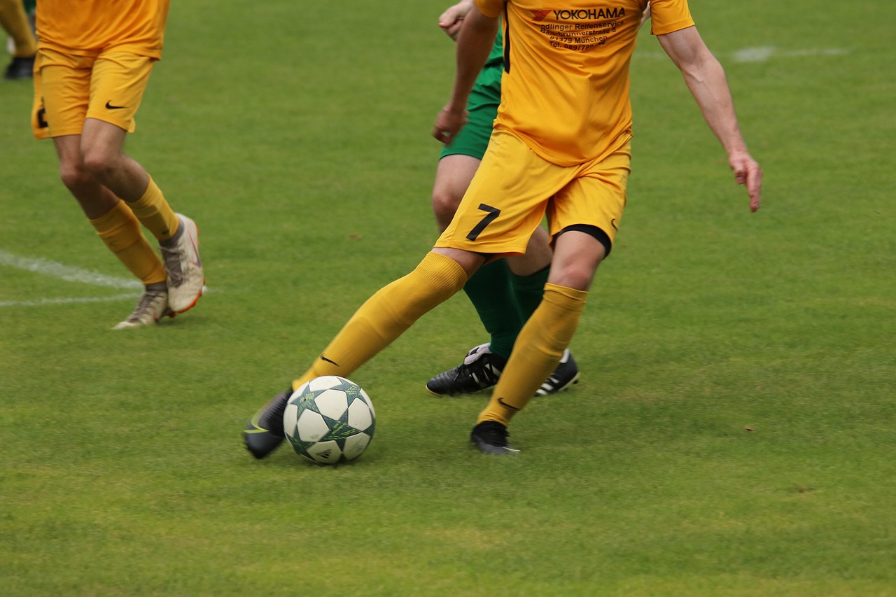 阵提出了巨 阵提出了巨